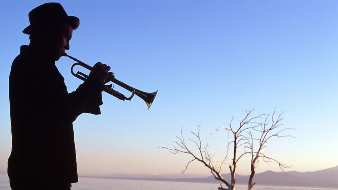 The Salton Sea - Die Zeit der Rache backdrop 8