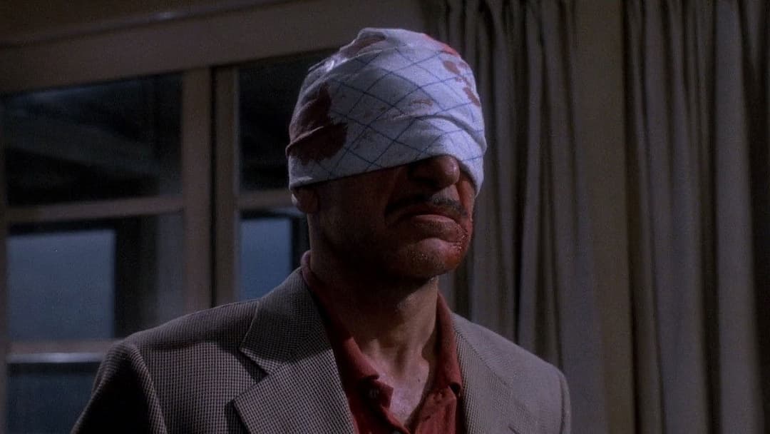 Смерть і Діва backdrop 13