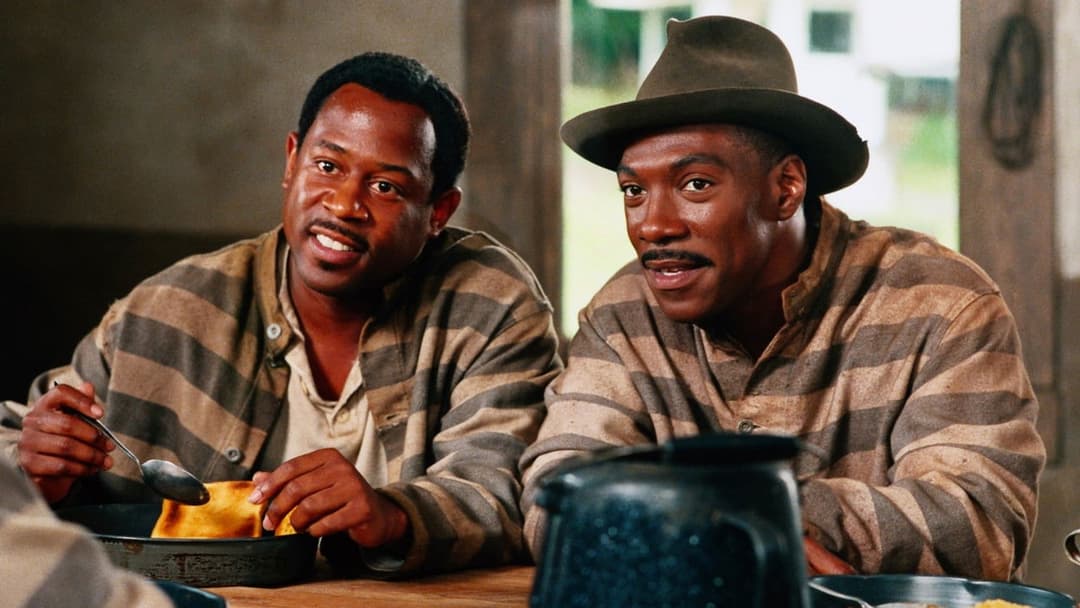 Життя backdrop 3