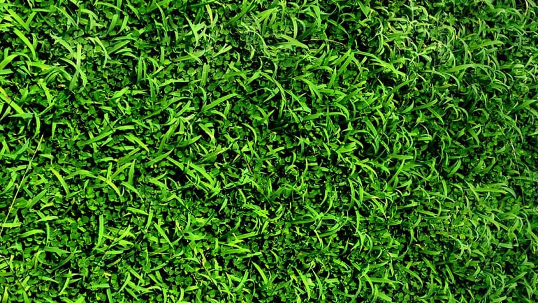 Besuch vom andern Stern backdrop 3