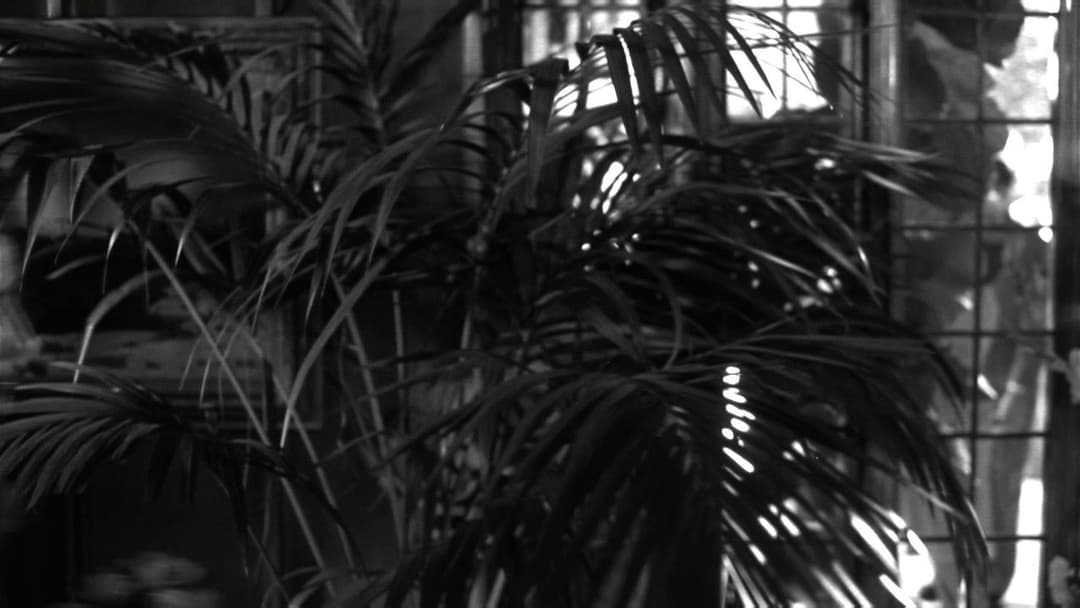 Schatten der Vergangenheit backdrop 14