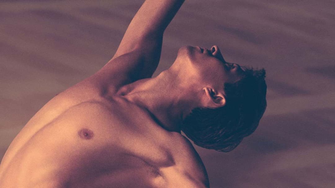 Nurejew - The White Crow backdrop 11