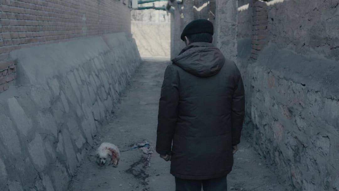 Слон сидить спокійно backdrop 13