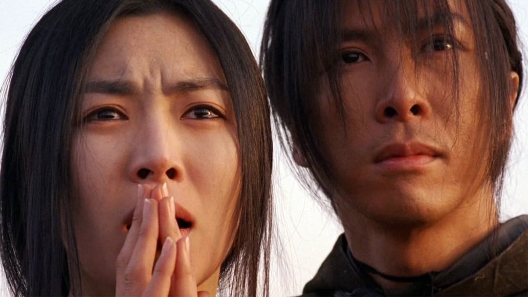 Die sieben Schwerter backdrop 9