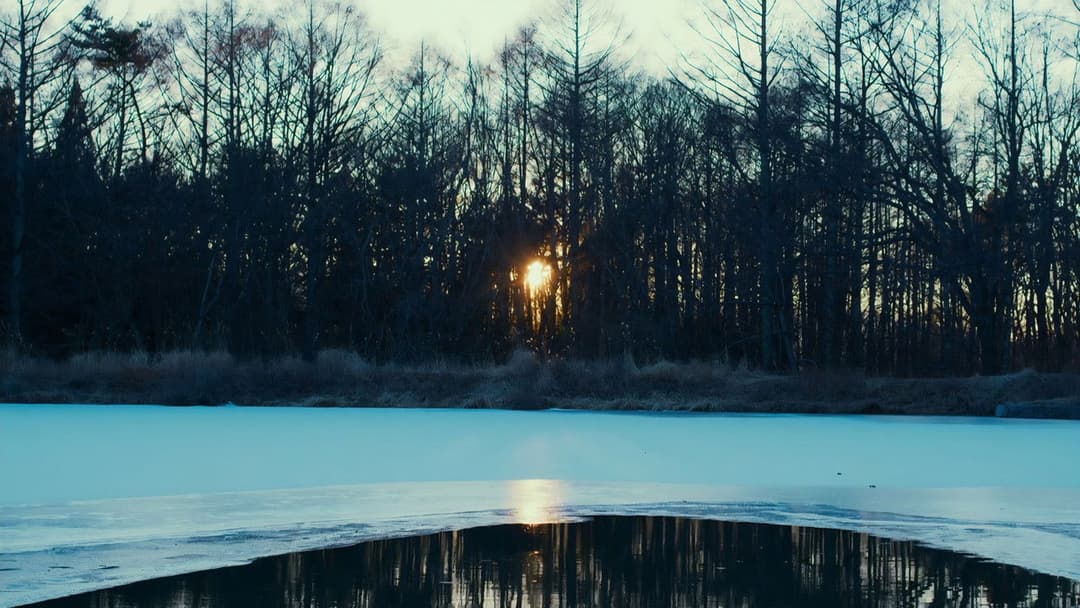 Evil Does Not Exist backdrop 8