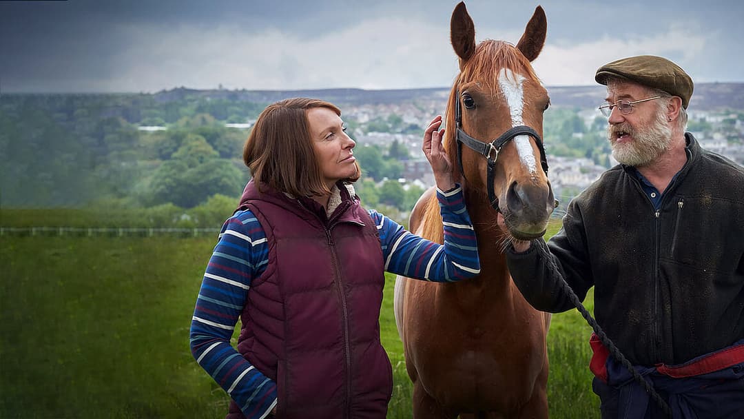 Омріяний кінь backdrop 5