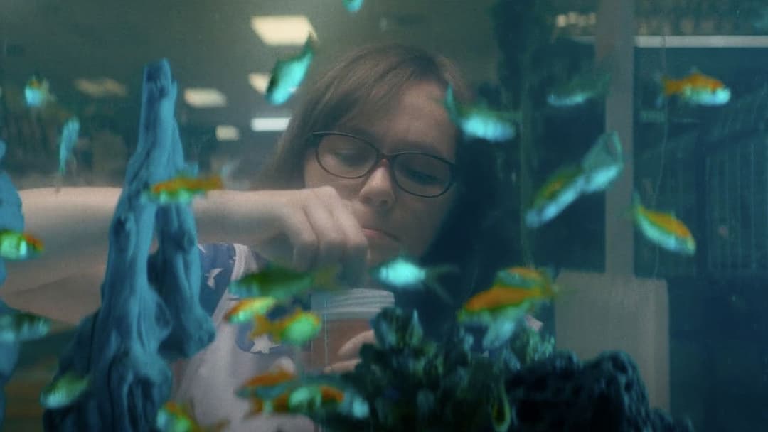 Dinner in America backdrop 15