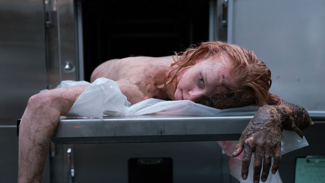 The Possession of Hannah Grace backdrop 13