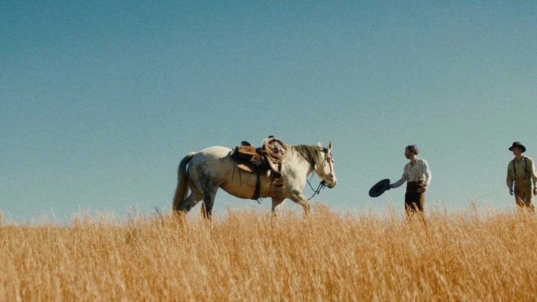 Old Henry backdrop 7