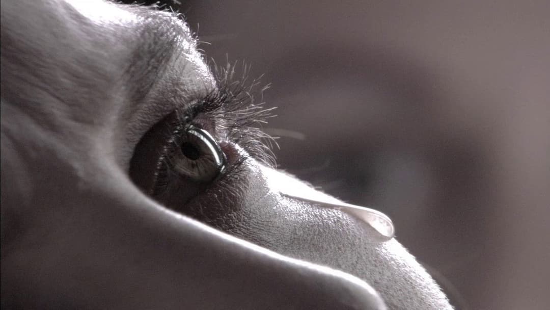 Lucía und der Sex backdrop 7