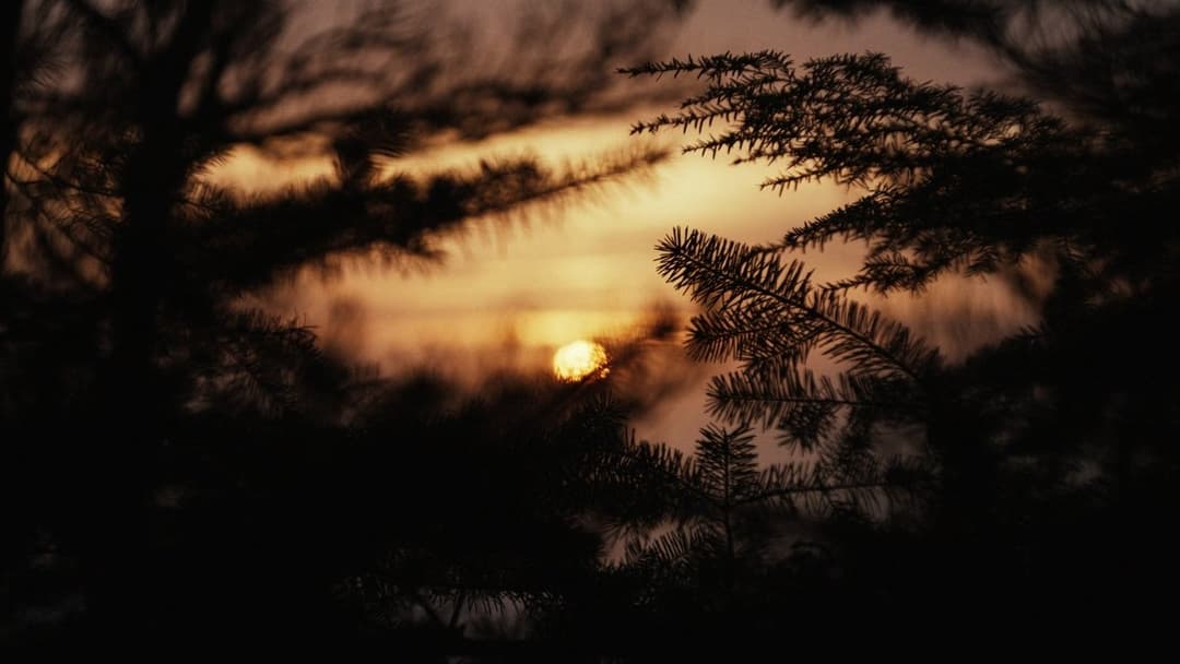 Significant Other backdrop 8