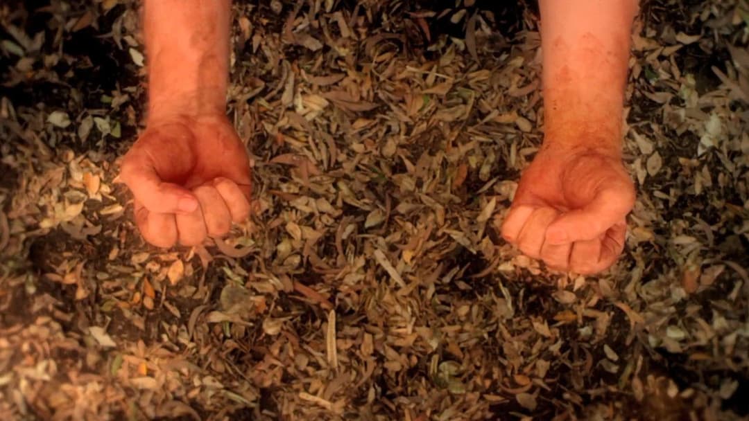 Only God Forgives backdrop 20