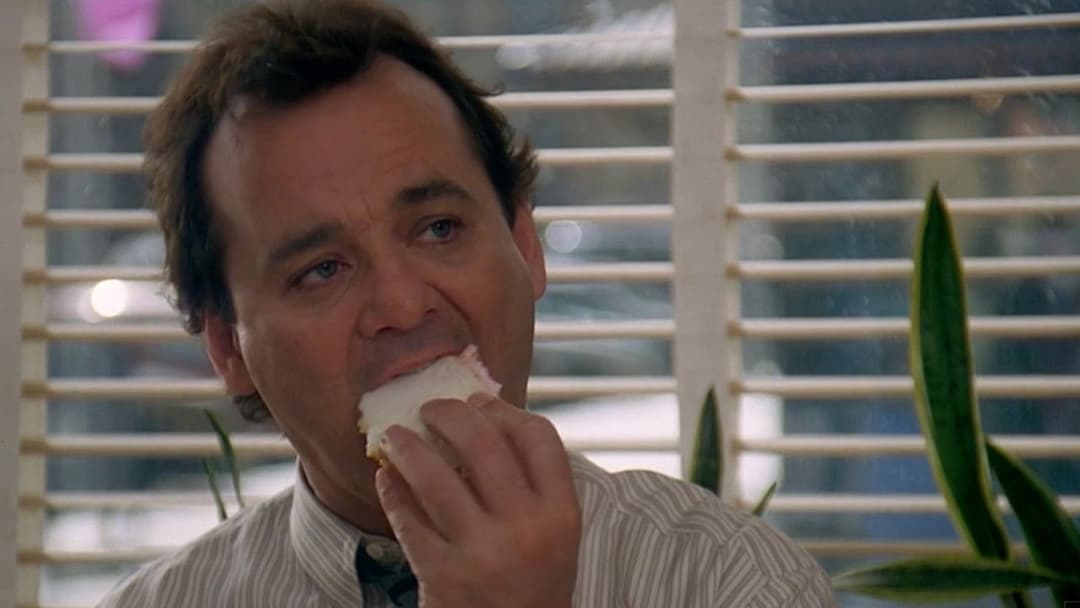 День бабака backdrop 18