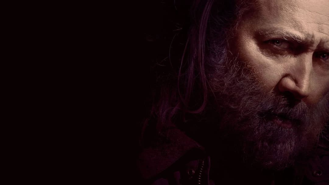 Свиня backdrop 4