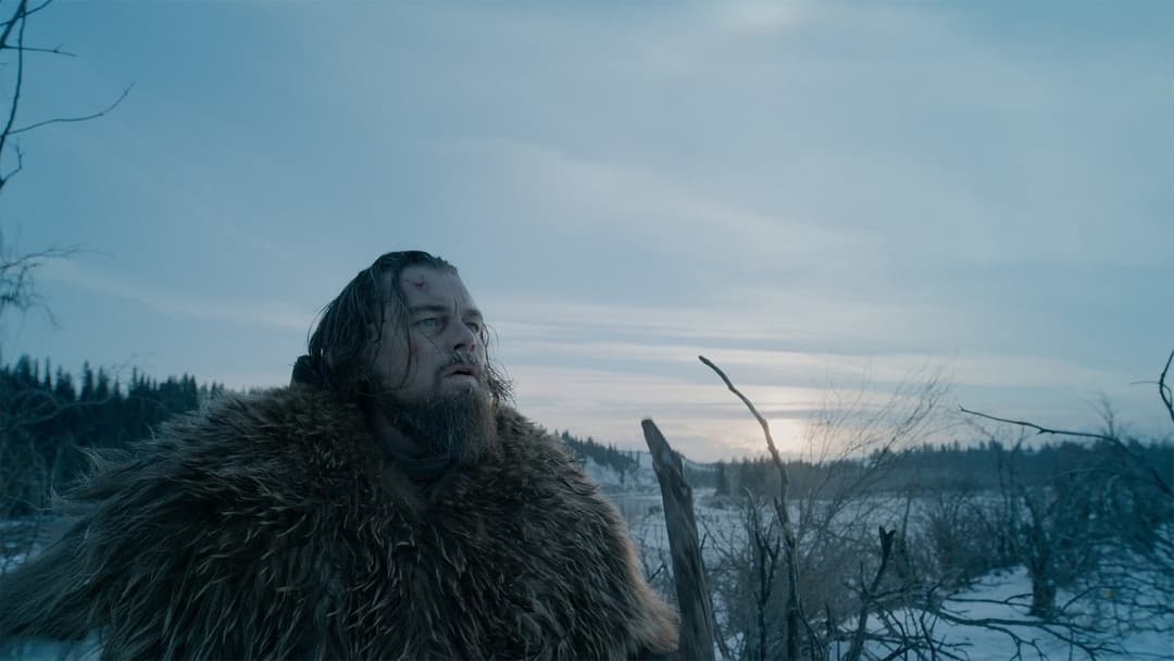 The Revenant - Der Rückkehrer backdrop 6