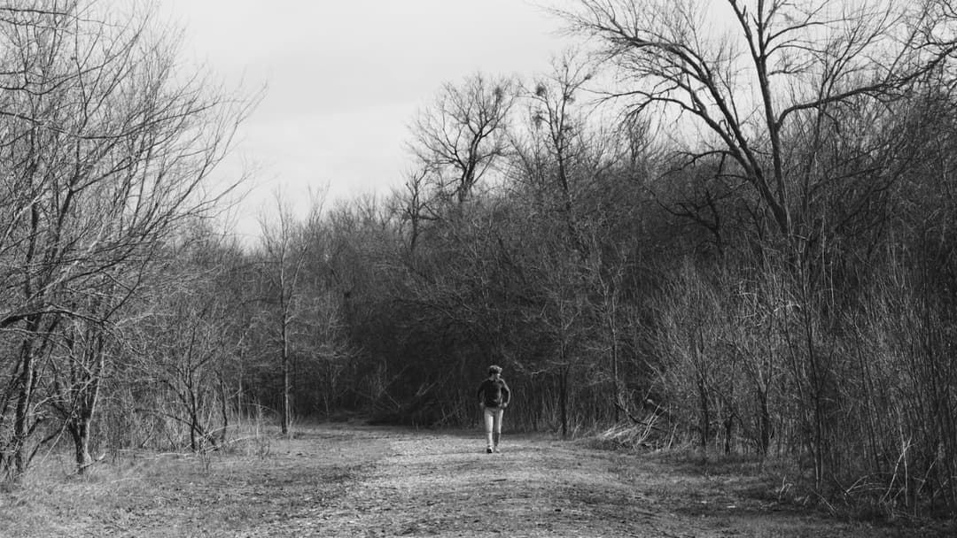 The Trail backdrop 12