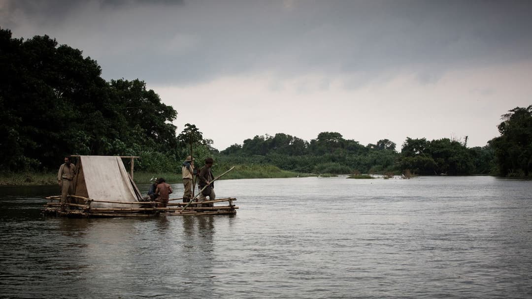 Die versunkene Stadt Z backdrop 19