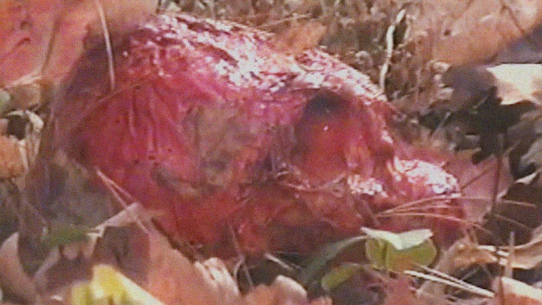 Bonkey: The Mutated backdrop 7