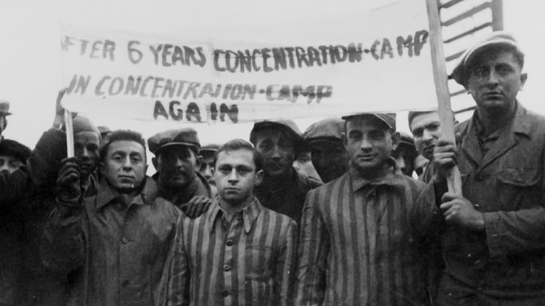 Les survivants, l'impossible départ après la Shoah backdrop 7