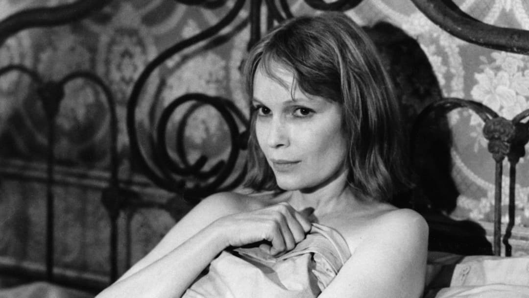 Schatten und Nebel backdrop 2