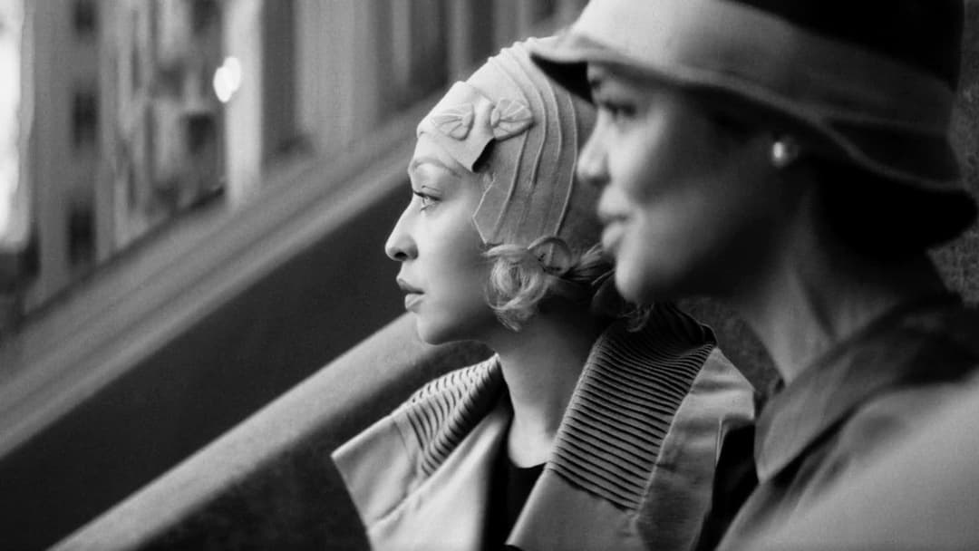 Поміжжя backdrop 6