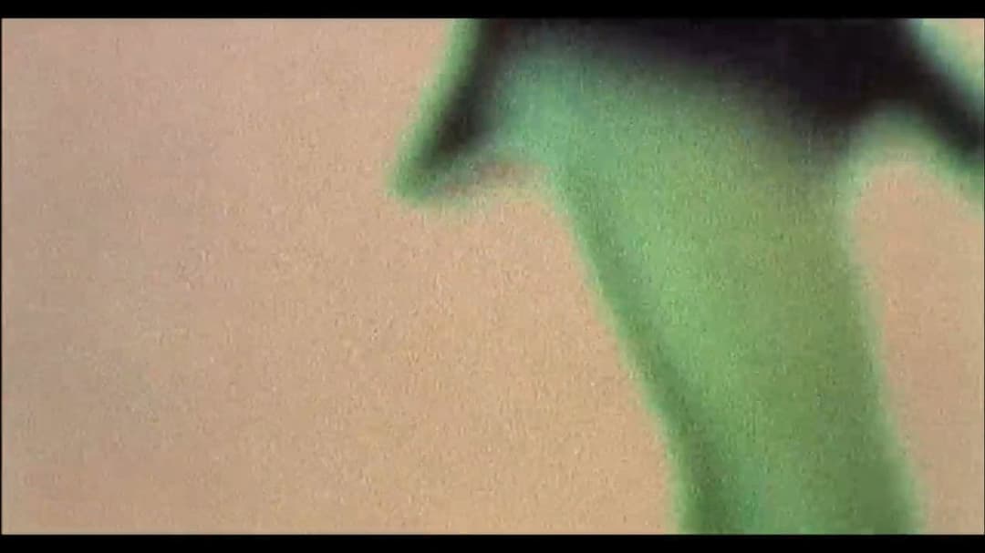 Julien Donkey-Boy backdrop 7