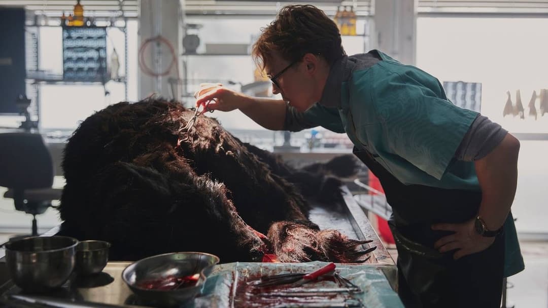 Вовк вікінгів backdrop 18