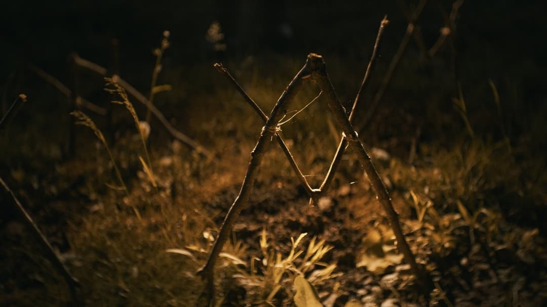 Прокляття Шелбі Оукс backdrop 3