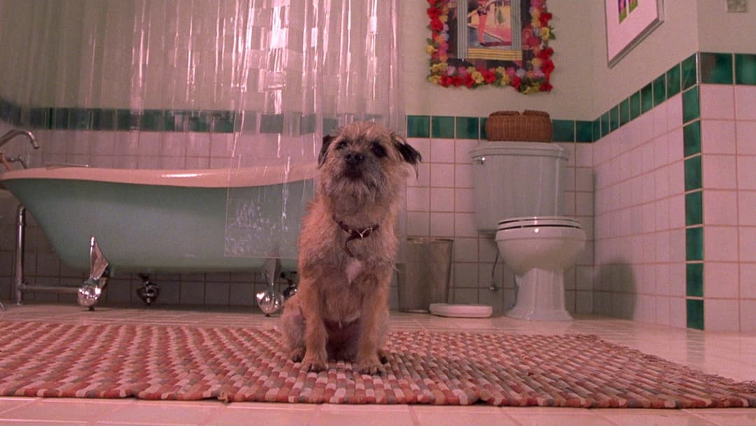 Verrückt nach Mary backdrop 16