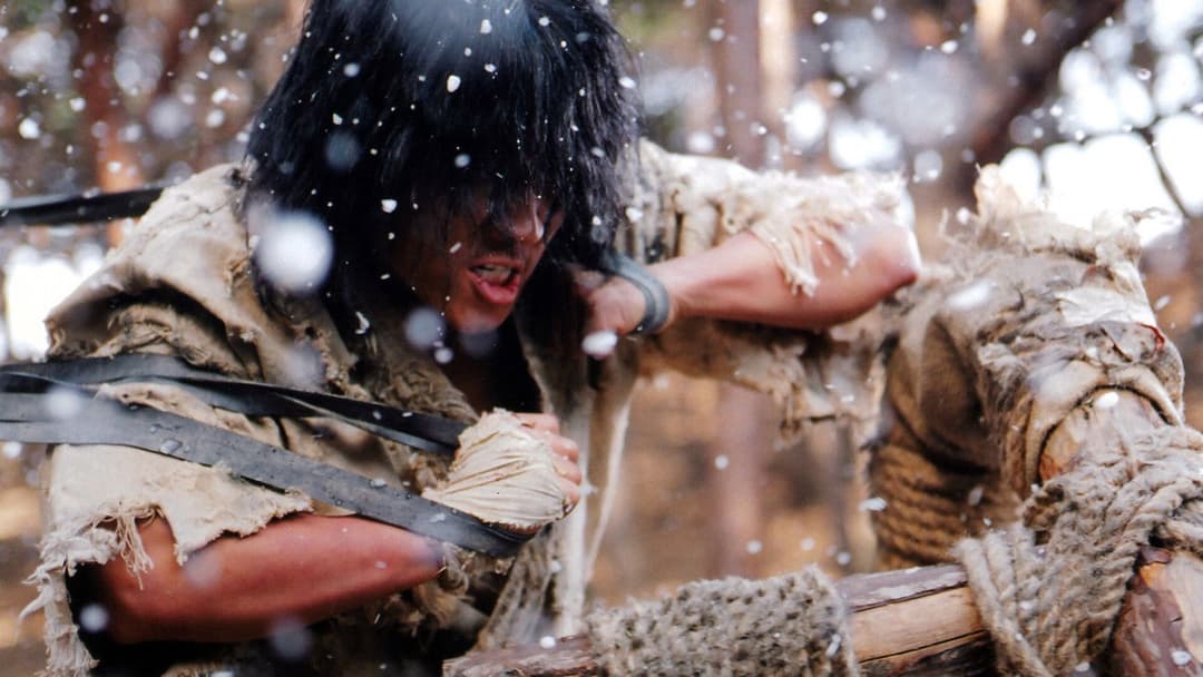 Fighter In The Wind backdrop 2