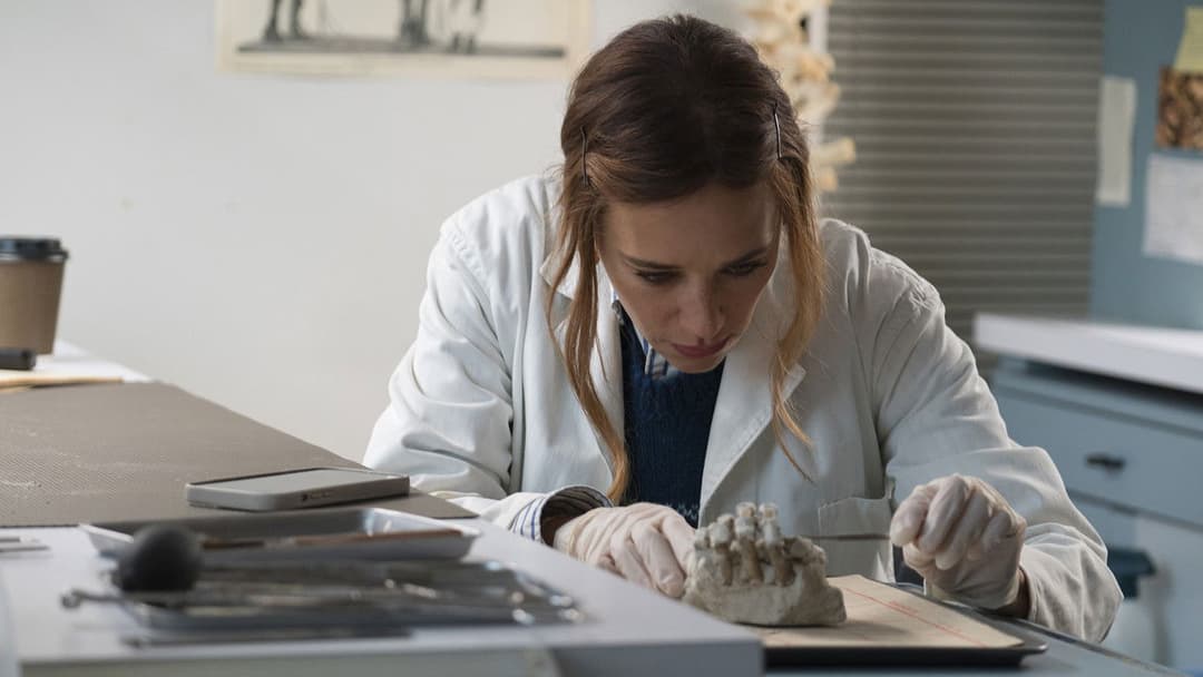 In the Blink of an Eye backdrop 13