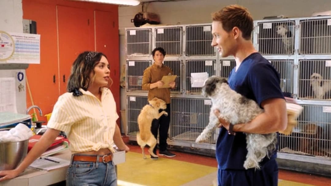 Dog Days backdrop 16