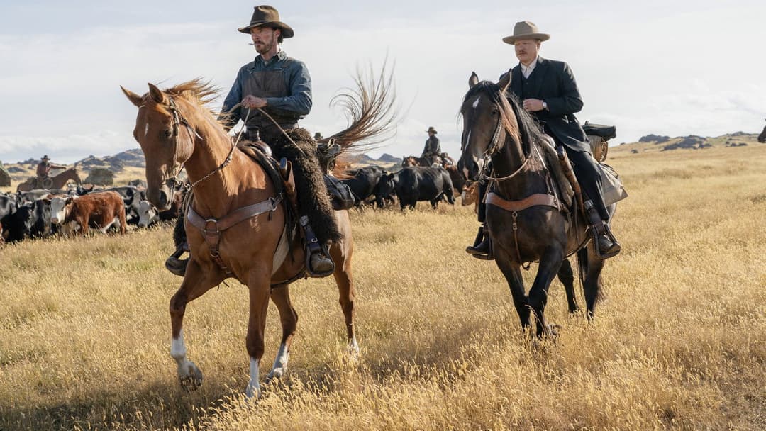 The Power of the Dog backdrop 7