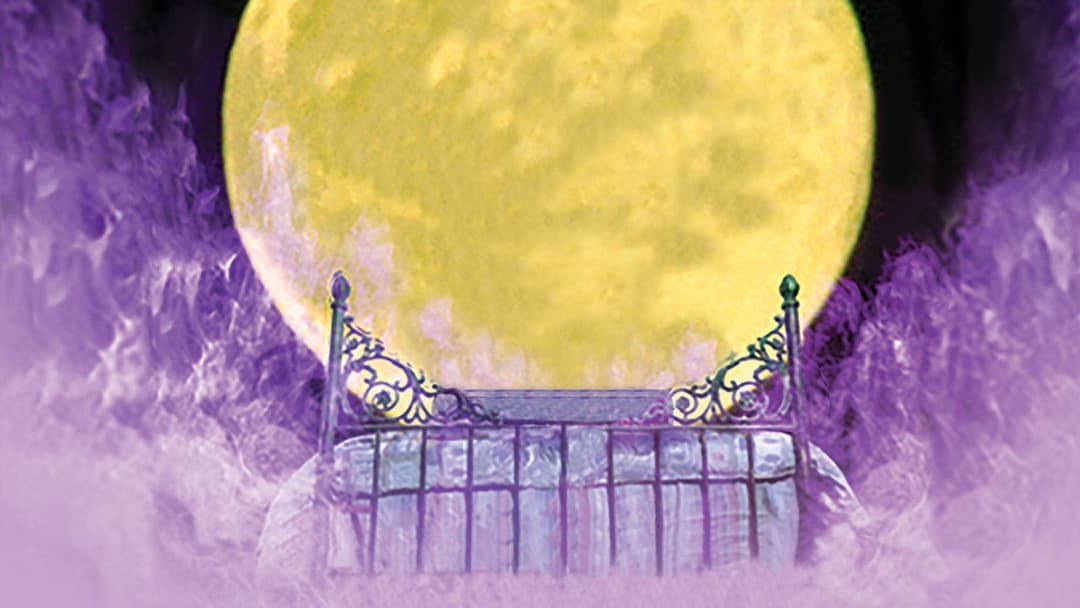 Don't Look Under the Bed backdrop 2