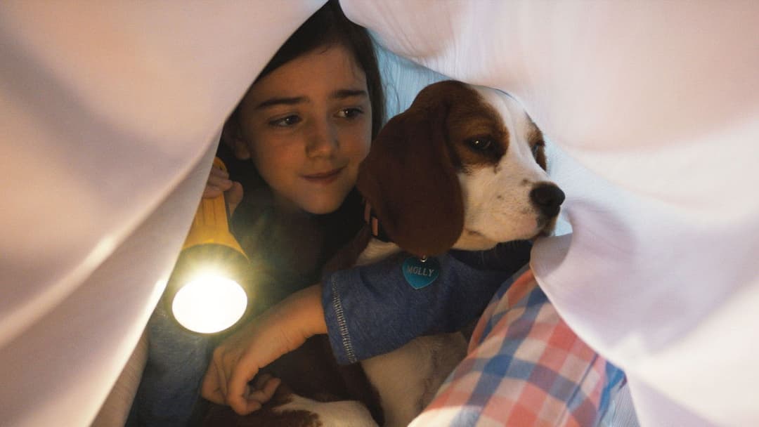 Подорож хорошого пса backdrop 6