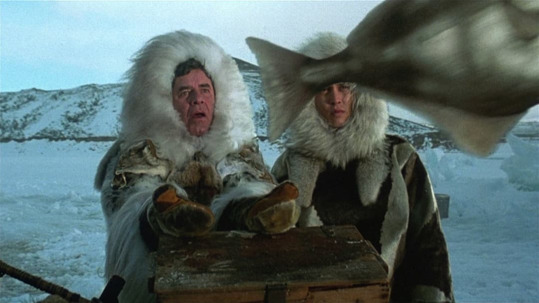 Аризонська мрія backdrop 13