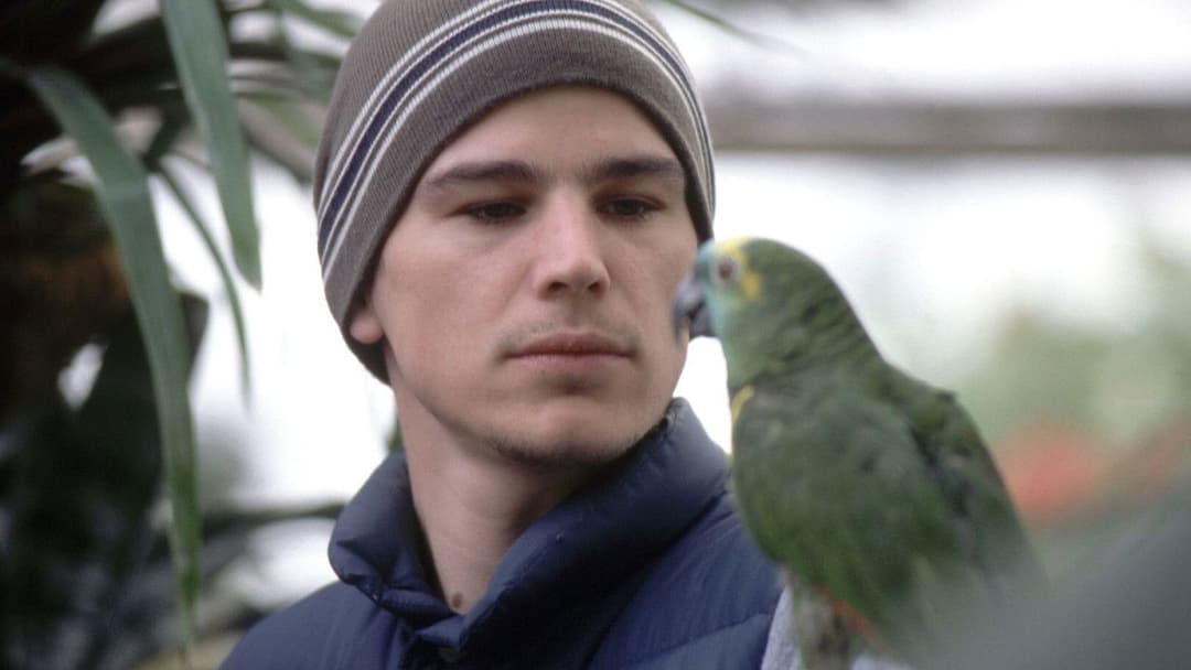 Mozart und der Wal backdrop 10