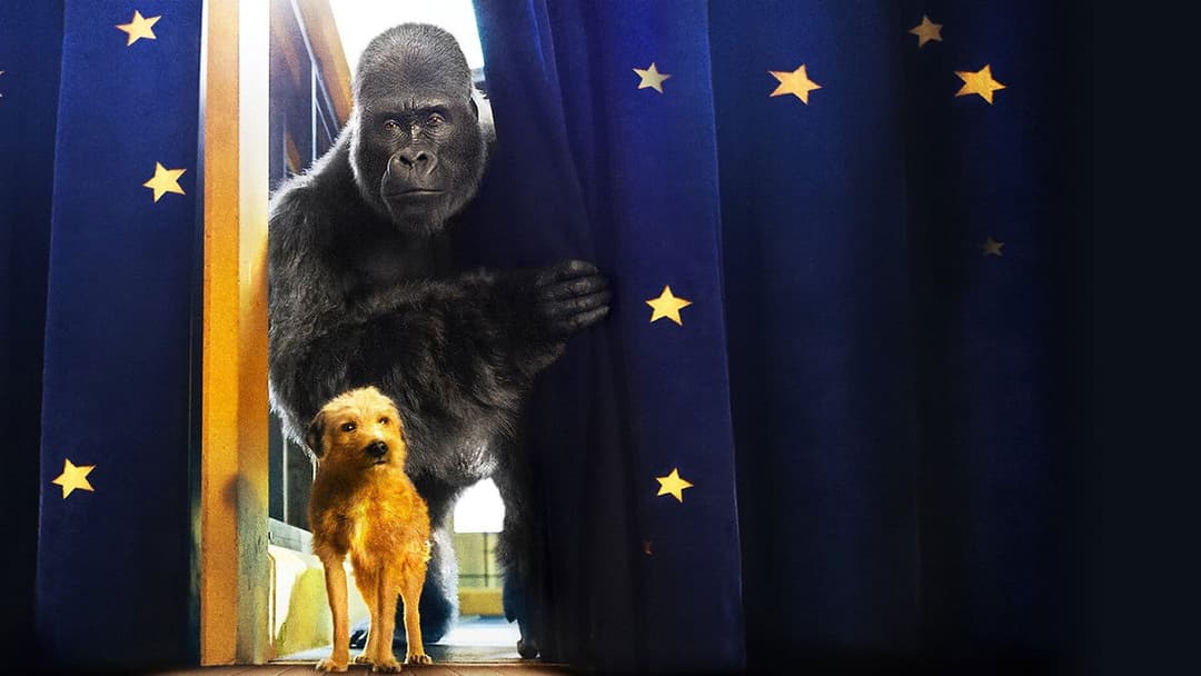 Айван, єдиний і неповторний backdrop 10