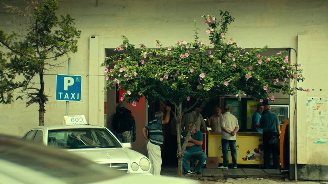 Was sehen wir, wenn wir zum Himmel schauen? backdrop 12