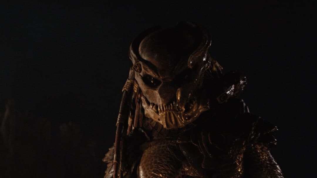 Хижаки backdrop 15