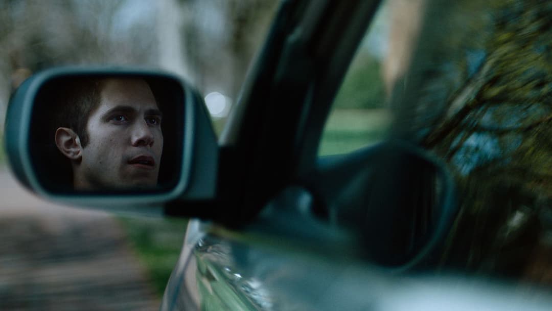 Американські тварини backdrop 19