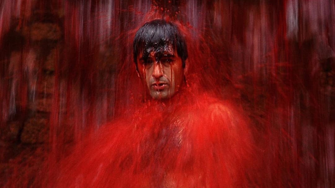 O Som ao Redor backdrop 4