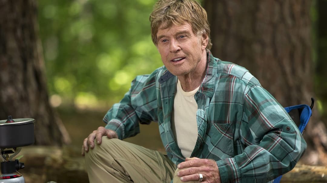 Picknick mit Bären backdrop 20