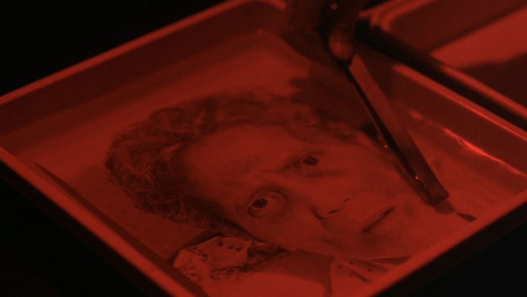 飲食男女 backdrop 6