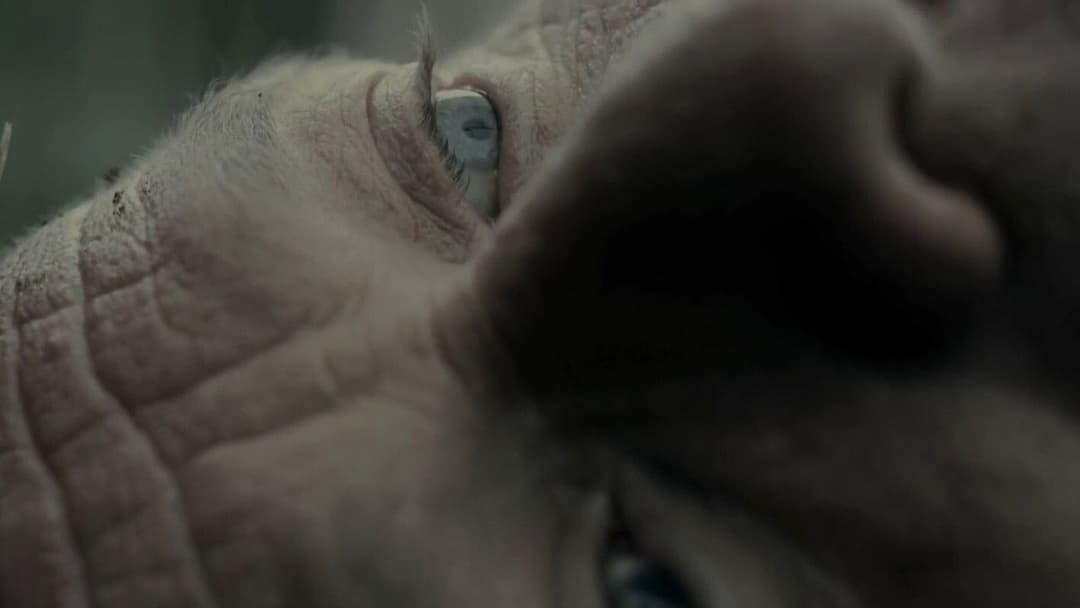 Тиранозавр backdrop 4