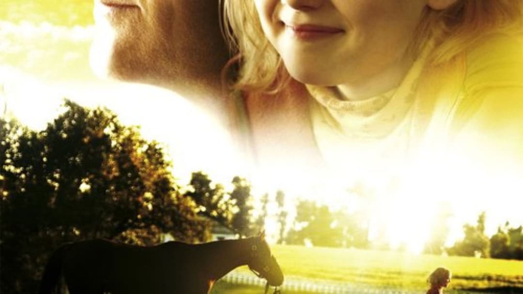 Dreamer - Ein Traum wird wahr backdrop 3