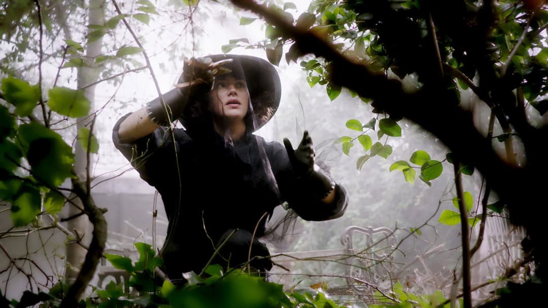 Чарівні чудові backdrop 8