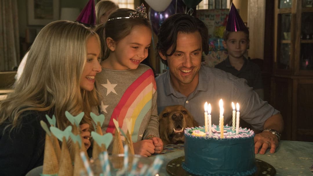 Enzo und die wundersame Welt der Menschen backdrop 12