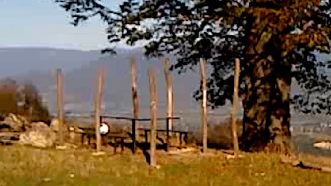 Dry Leaf backdrop 16