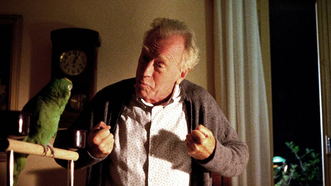 Sleepless backdrop 16